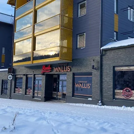 Levin Kunkku, B7 Апартаменты *